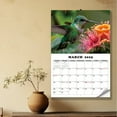 Buy One Get One Free! 2025 Wall Calendar Calendar 2025, Jan. 2025
