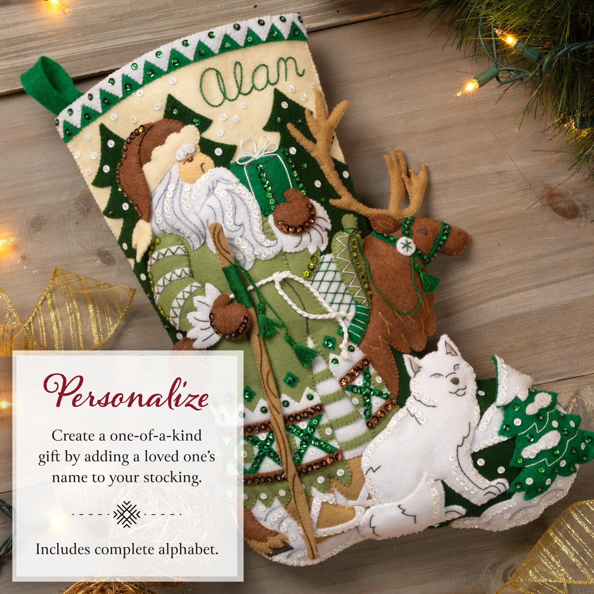 Bucilla Nordic Noel 18 in Multicolor Felt Stocking Kit