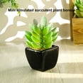 thumbnail image 2 of Potted Plant Simulated Easy to Care Mini Assorted Decorative Succulent Artificial Pot for Home Black Ceramic, 2 of 8