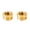 Normal model, variant on MOMOJIA Hexagonal Socket Threaded Pipe Fitting Brass Pneumatic Adapter High Pressure Resistance Threaded Pipe Joint