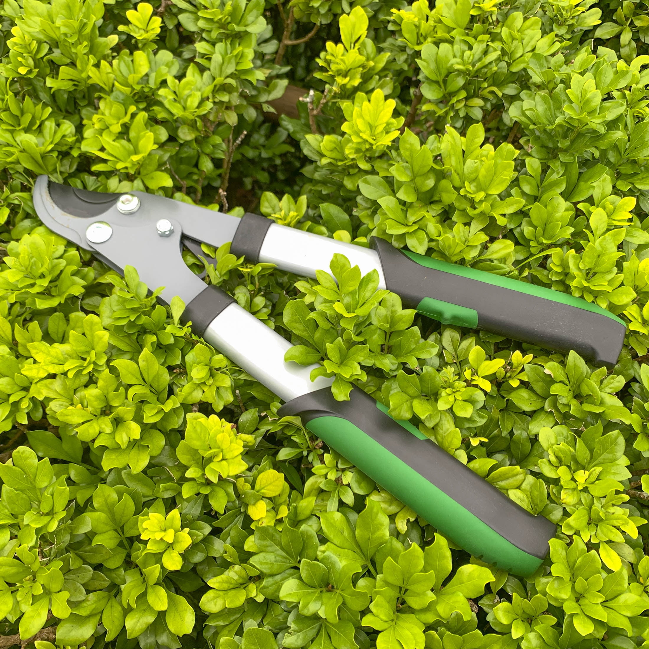 Expert Gardener 15-Inch Lopper, Lightweight and Durable with Ergonomic Grips