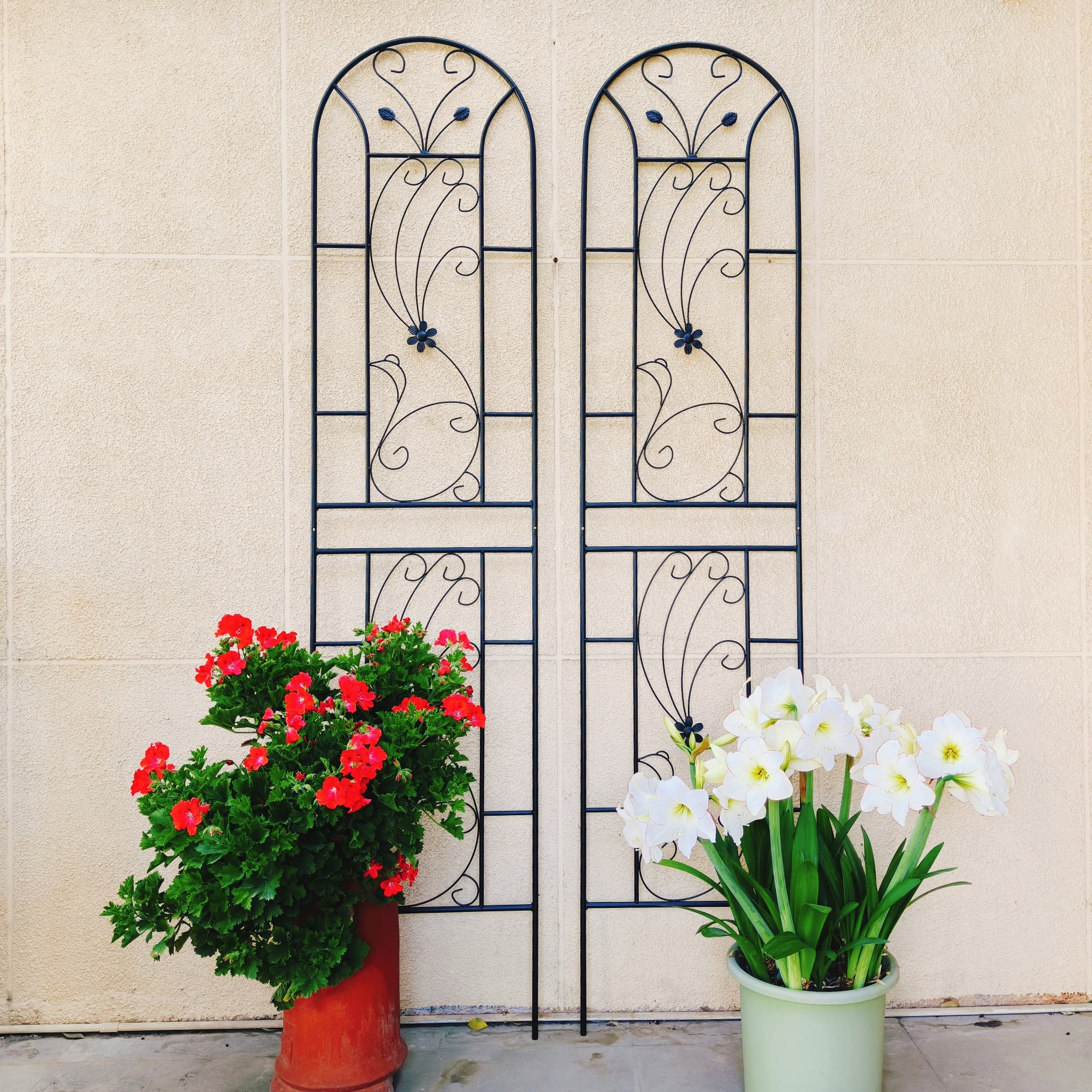 4 Pack Metal Garden Trellis 86.7" x 19.7" Rustproof Trellis for Climbing Plants Outdoor Flower Support Peacock Style Black