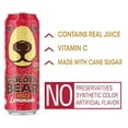 thumbnail image 4 of Arizona Beverages USA Arizona Golden Bear Lemonade, 23 oz, 4 of 5