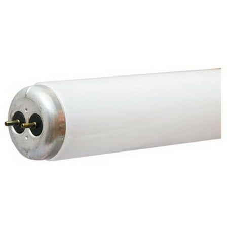 66650 48 in. 40W T12 Utility Fluorescent Light Bulb - Pack Of 30