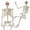 5.4ft White, variant on Ayieyill 65IN Halloween Skeleton Decorations, Weathered Posable Skeleton Decor for Halloween Decorations Outdoor Indoor