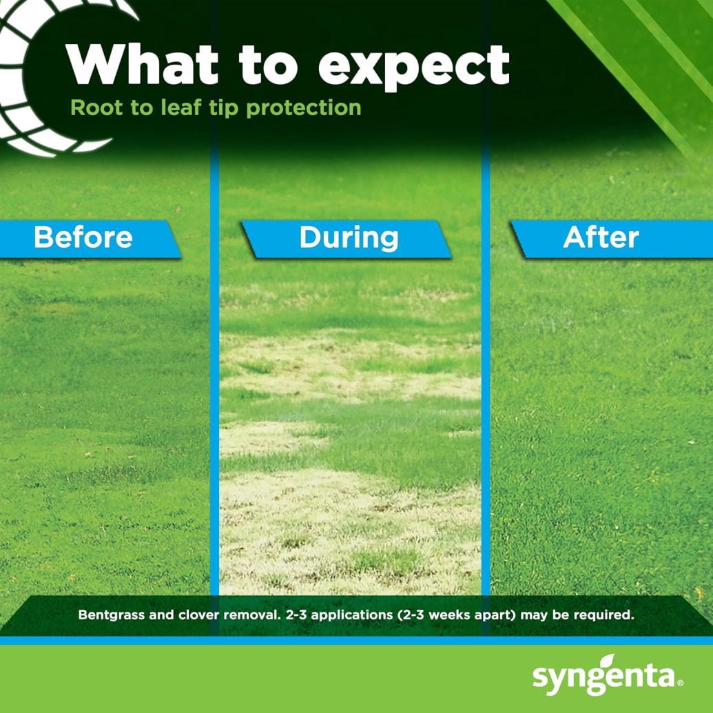 ZZJP Tenacity Herbicide - Pre-Emergent and Post-Emergent Weed Control, 8-oz. Liquid Weed Killer for Lawns and Turf Grasses, Active Ingredient Mesotrione Herbicide