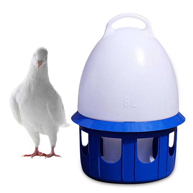 Dispensador automático de agua Salvador para pájaros 8L D 22cm H 38CM bebedor de palomas