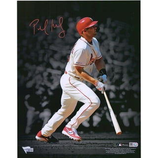 Lilian Ralap St Louis Cardinals Poster 24x36 Inchs Unframed, MLB Logo,  Baseball America, Baseball Art, Sport Artwork, Sport Poster, Gift iead for