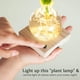 thumbnail image 3 of Jarrón, florero hidropónico LED, terrario hidropónico de escritorio para plantas, maceta redonda de vidrio con base de madera iluminada e impermeable., 3 of 8