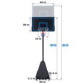 Danrelax 10FT Adjustable Portable Basketball Hoop, 44in PVC Black