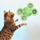 thumbnail image 3 of Juguete de para gatos, divertido, juguetes giratorios para gatos con hierba gatera, bola LED, limpieza de dientes, productos para mascotas, diseño para frotar jinwen molino de viento gato divertido juguete, 3 of 8