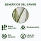 thumbnail image 3 of Calcetines invisibles para hombre SOKKOS 6 pares de bambú, 3 of 3