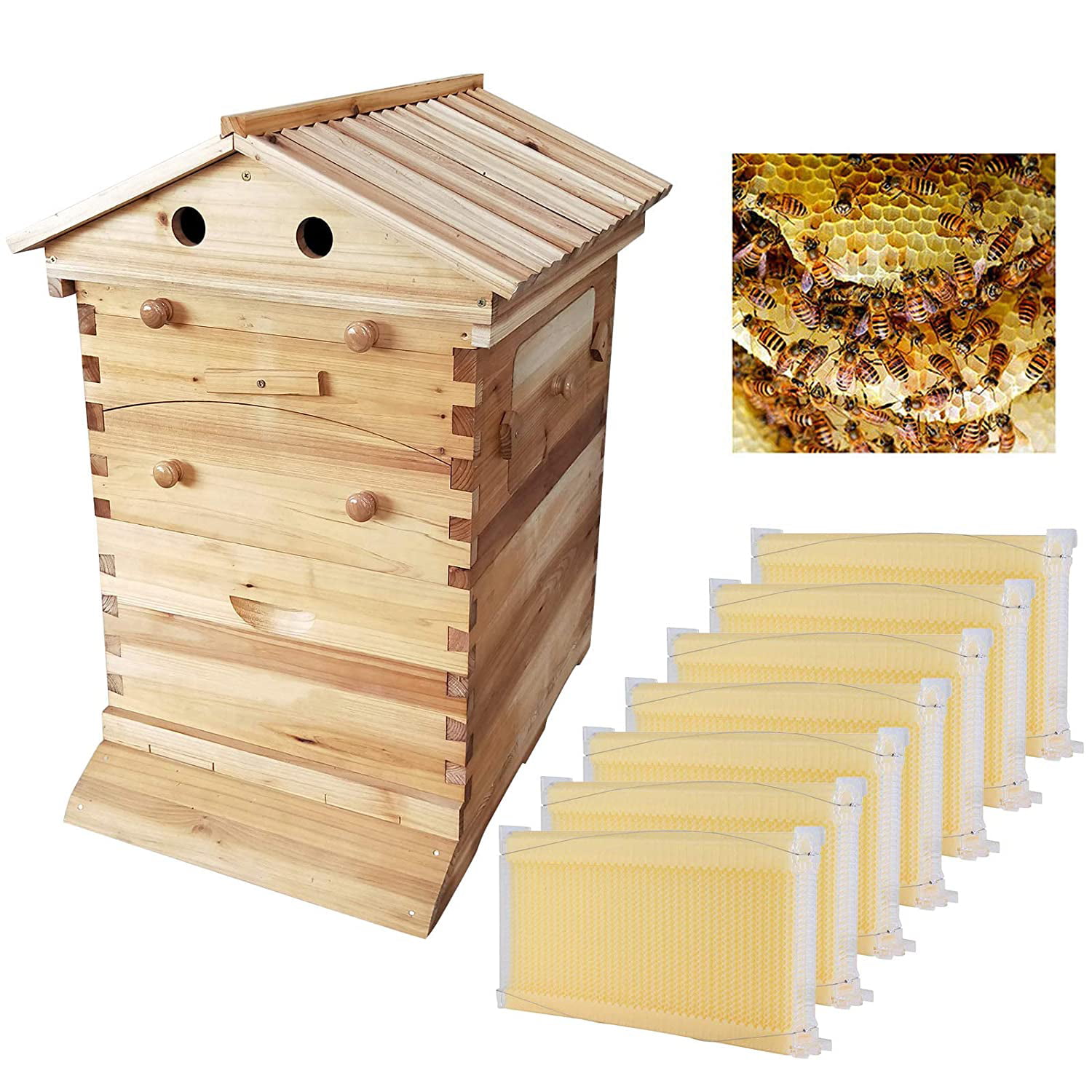 7PCS Auto Honey Hive Frames with Beekeeping Beehive Brood Cedarwood Box US STOCK 