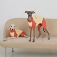 thumbnail image 4 of UOSIA Dachshund Dog Cooling Summer Outfits, Four-Legged Sun Protection Clothes Quick-Dry Summer Shirt for Mini Dachshund, 4 of 7