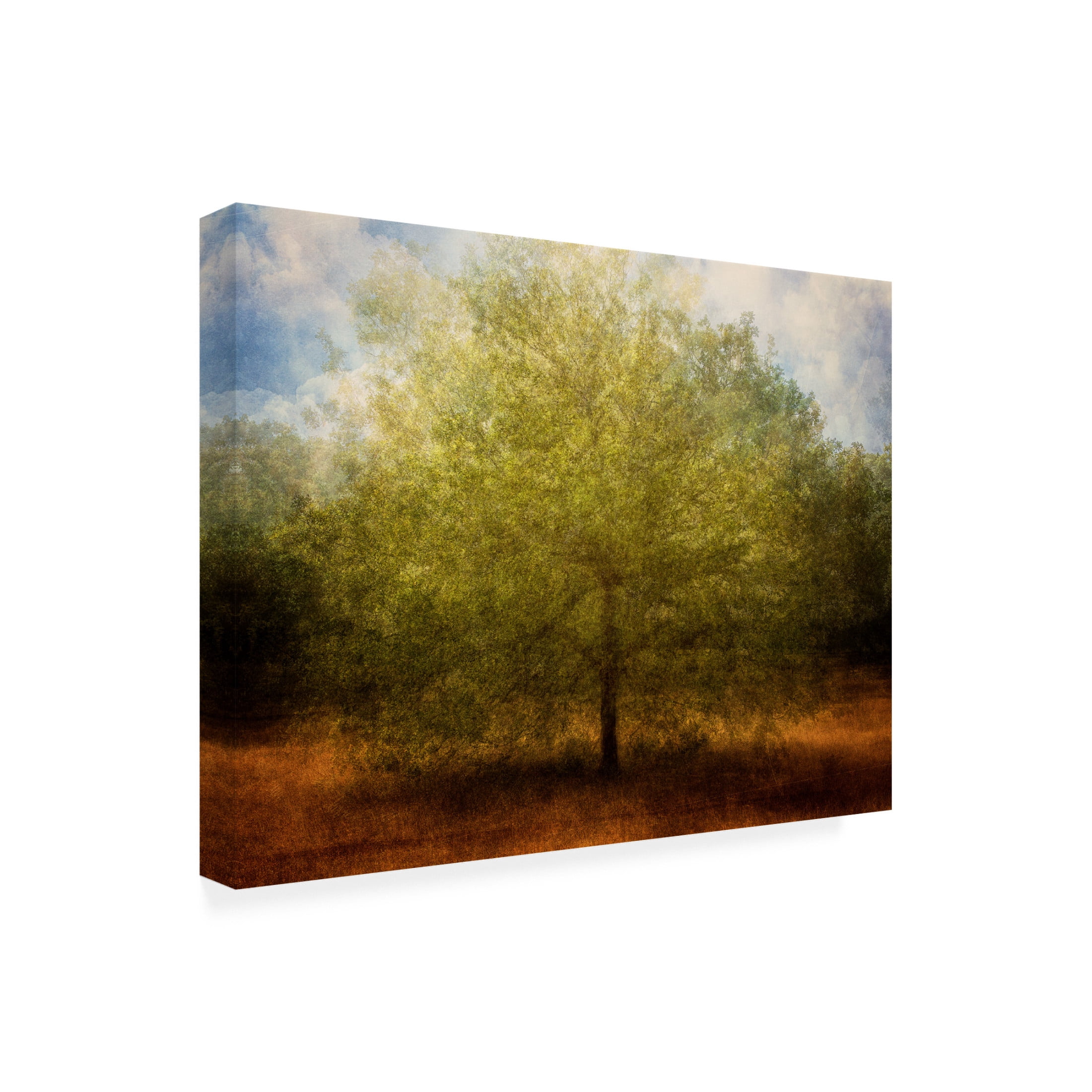 Canvas Wall Art - Nel Talen 'Embrace Me' Wall Art for Living Room, Bedroom, or Office Décor by Trademark Fine Art - 19 x 14 Inches