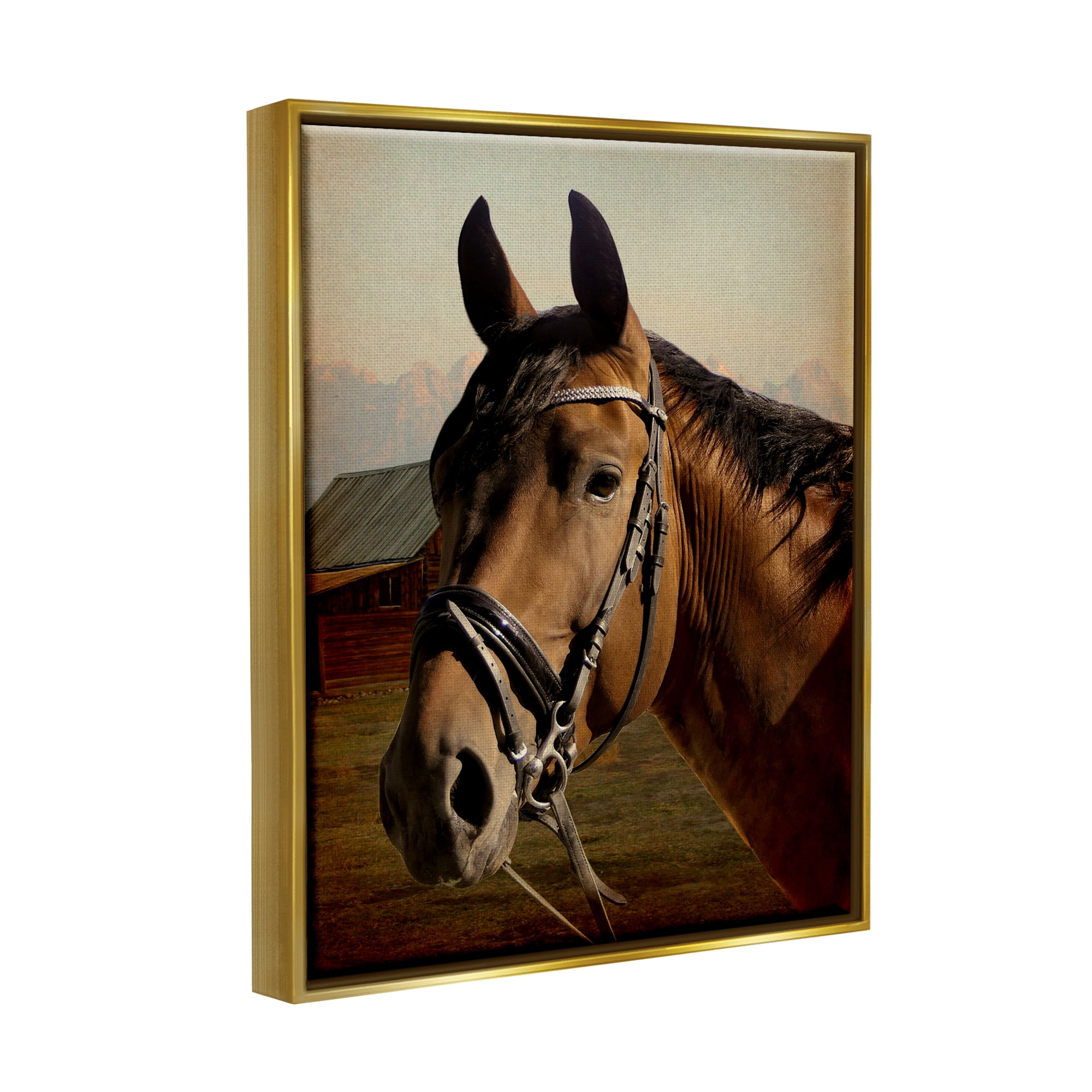 Stupell Industries Brown Horse Portrait Animals & Insects Photography Gold Floater Framed Canvas Art Print Wall Art, 25 x 31