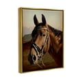 thumbnail image 4 of Stupell Industries Brown Horse Portrait Animals & Insects Photography Gold Floater Framed Canvas Art Print Wall Art, 25 x 31, 4 of 10