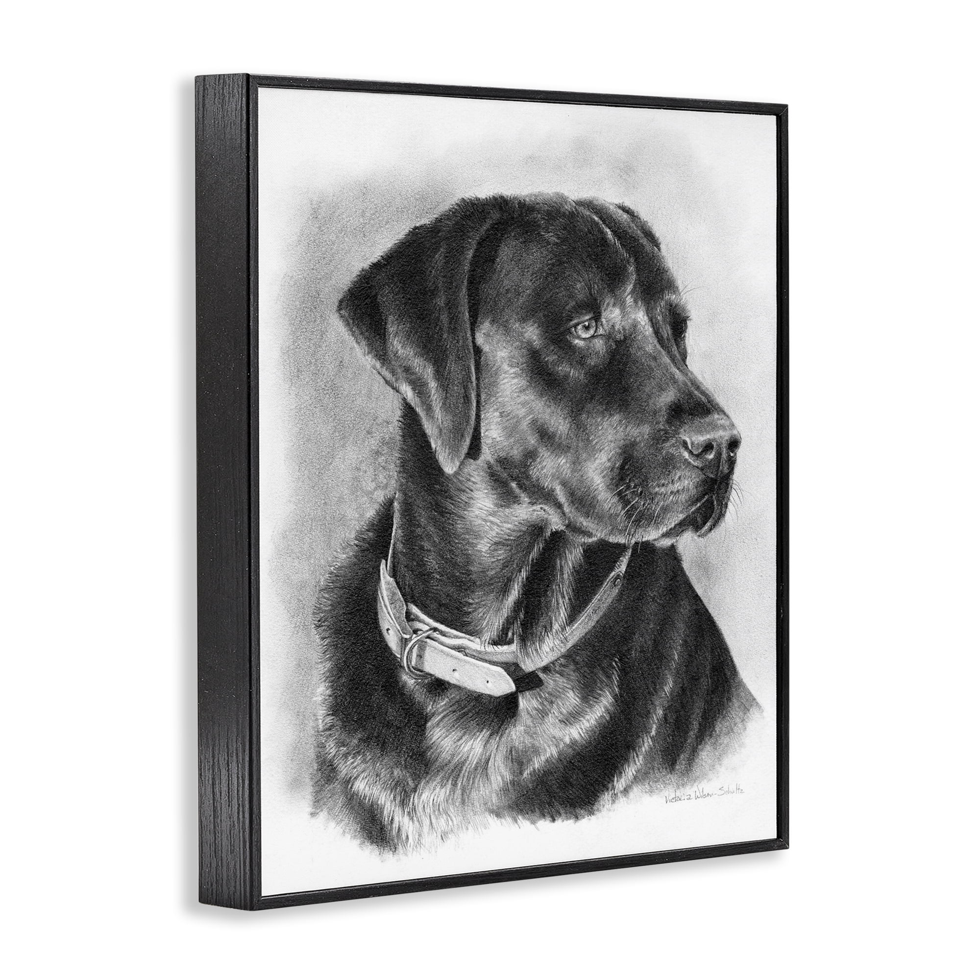 Stupell Industries Black Lab Drawing Animals & Insects Drawing Black Framed Art Print Wall Art, 11 x 14