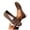 Brown, variant on Miqool Womens Knit Mesh Slip On Flat Breathable Lightweight Casual Sporty Walking Footwear