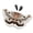 Coffee, variant on Etracrec Halloween Theme Shawl Ideal For Role Playing Fashion Polyester Moth Clothes