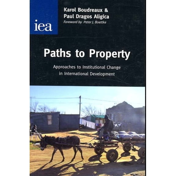 Paths to Property : Approaches to Institutional Change in International Development (Paperback)