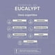 thumbnail image 5 of Aceite Esencial De Eucalipto | 50 ml | Ingredientes Puros y Naturales | Eucalyptus Essential Oil | B Life., 5 of 6