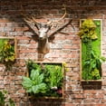 thumbnail image 3 of Artificial Faux Plant Succulent Wall Art, 3 of 8