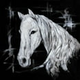 thumbnail image 2 of Atelier B Art Studio 26x26 Black Ornate Wood Framed with Double Matting Museum Art Print Titled - Abstract Horse Profile View, 2 of 4