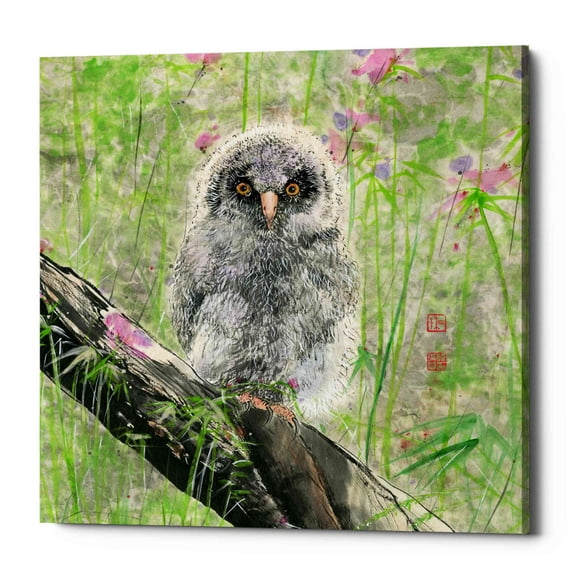 Epic Graffiti 'Owlet' by River Han, Canvas Wall Art, 26"x26"