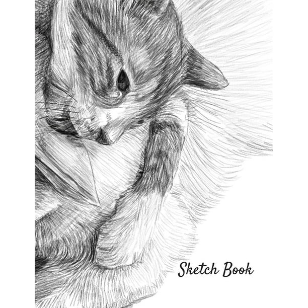 Sketch Book Cat Pencil Drawing Themed Notebook For Drawing Writing Painting Sketching Or Doodling 120 Pages 8 5 X 11 Paperback Walmart Com