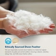 thumbnail image 4 of Dafinner Hypoallergenic 3‑Chamber Goose Feather Down Core Bed Pillows, King Size Set of 2, With Microfiber Surround, Soft-Medium Support For All Sleepers (20x36, White), 4 of 9