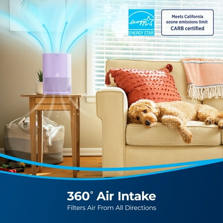 BISSELL - MYAir Personal Air Purifier - Purple