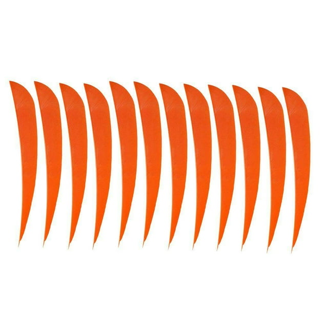 pitrice 12 Pcs Flèches de Chasse à l'Arc Plume Aile Droite 4 Pouces Orange