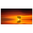 thumbnail image 2 of Wonderful Tree with Birds at Sunset - Extra Large Wall Art Landscape, 2 of 3