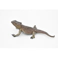 thumbnail image 2 of Bearded Dragon Toy, Lizards, Reptiles, Very Realistic Rubber Figure, Model, Educational, Animal, Hand Painted Figurines, 5" CH046 BB76, 2 of 8