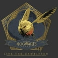 thumbnail image 2 of Men's Hogwarts Legacy Golden Snidget Logo Graphic Tee Charcoal Heather X Large, 2 of 5
