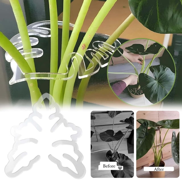 Boreal Craft Flower Fixer Turtle Back Pattern Fixer Flower Leaf Stabilizing Tool Fixed Green Decoration in Paper Towel Holder Car Phone Stand Mount Paper Towel Mount Leaf String Leave for Wall Paper