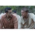 thumbnail image 2 of Papillon, 2 of 10