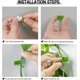 thumbnail image 3 of 100 clips autoadhesivos para plantas trepadoras, ideales para la pared del jardín y para decoración de jardines., 3 of 5