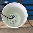 thumbnail image 2 of Farm Innovators Chauffe-Eau Submersible pour Bétail avec Garde Attachée, 1000 Watts, 2 of 3