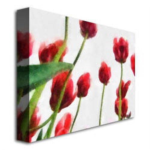 Trademark Fine Art "Red Tulips from Bottom Up II" Canvas Art by Michelle Calkins