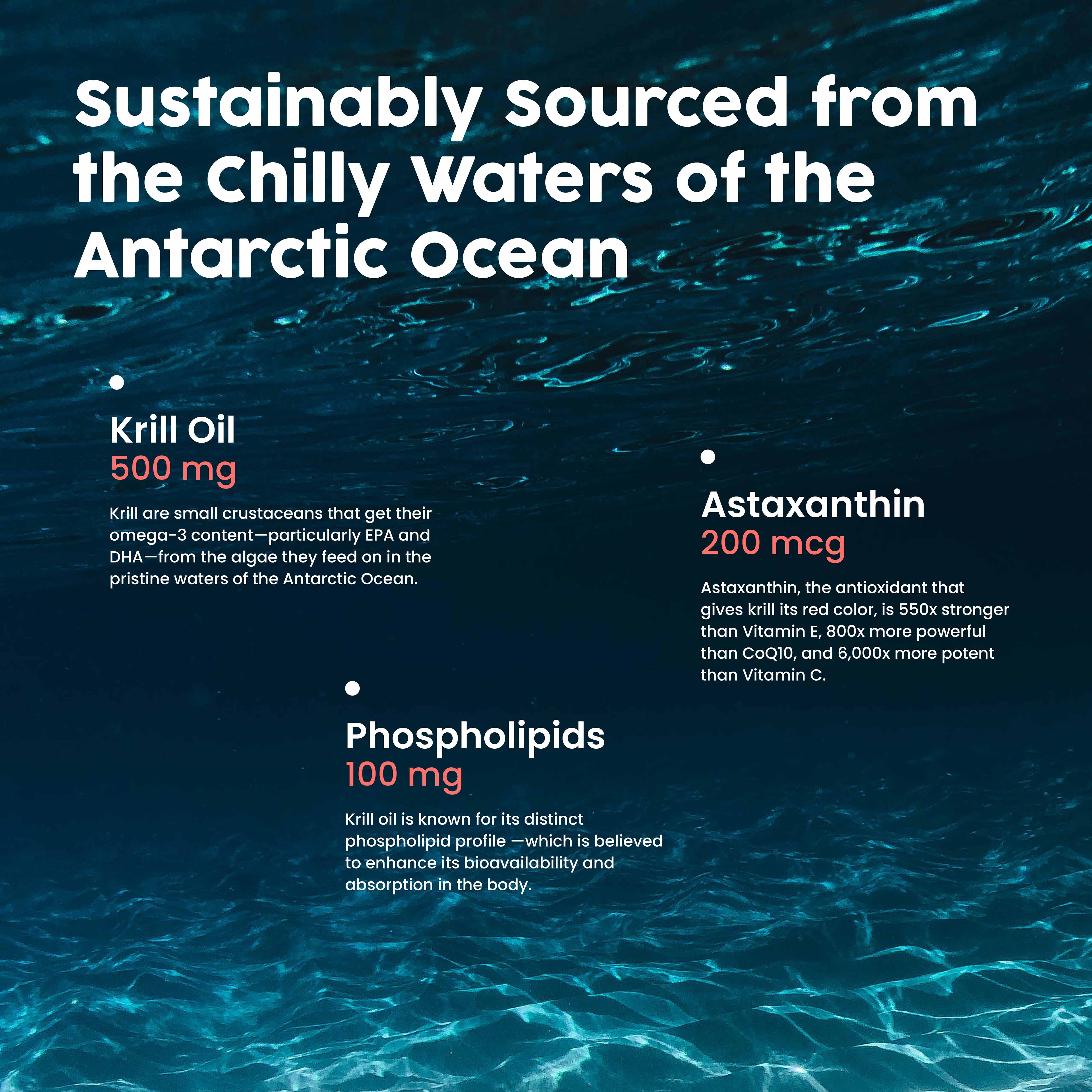 NativePath Antarctic Krill Oil 500mg, Omega-3 EPA and DHA with Astaxanthin, 60 Softgels