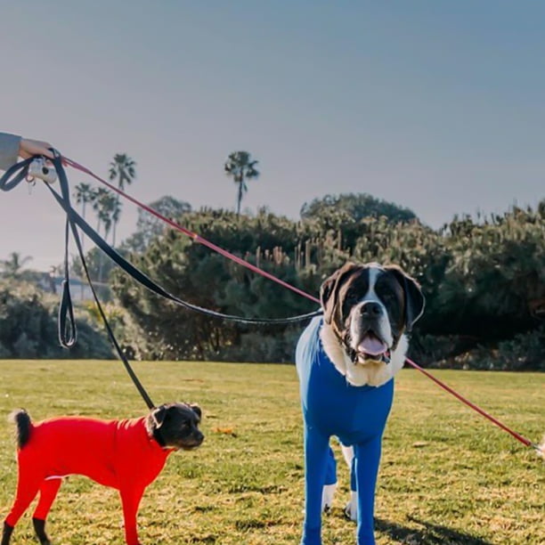 Linge pour chien hot sale