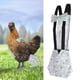 thumbnail image 4 of Pañal del Animal doméstico, pañal portátil Lavable de los pañales de Las Aves de Corral del Animal doméstico para la Paloma del Pollo del Pato de Ganso(s-Azul), 4 of 5