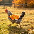thumbnail image 5 of Chicken Saddle for Hens, Chicken Apron Back Protector for Hens, Waterproof Hen Saddle Chicken Vest With Adjustable Straps for Poultry Back Feather Protection, Easy to Wear, 5 of 6