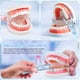 thumbnail image 5 of 2pcs Soporte de hilo dental Soporte de hilo dental Carrete plano Carrete plano Rejilla de reemplazo de hilo dental (Rosa + Azul), 5 of 7