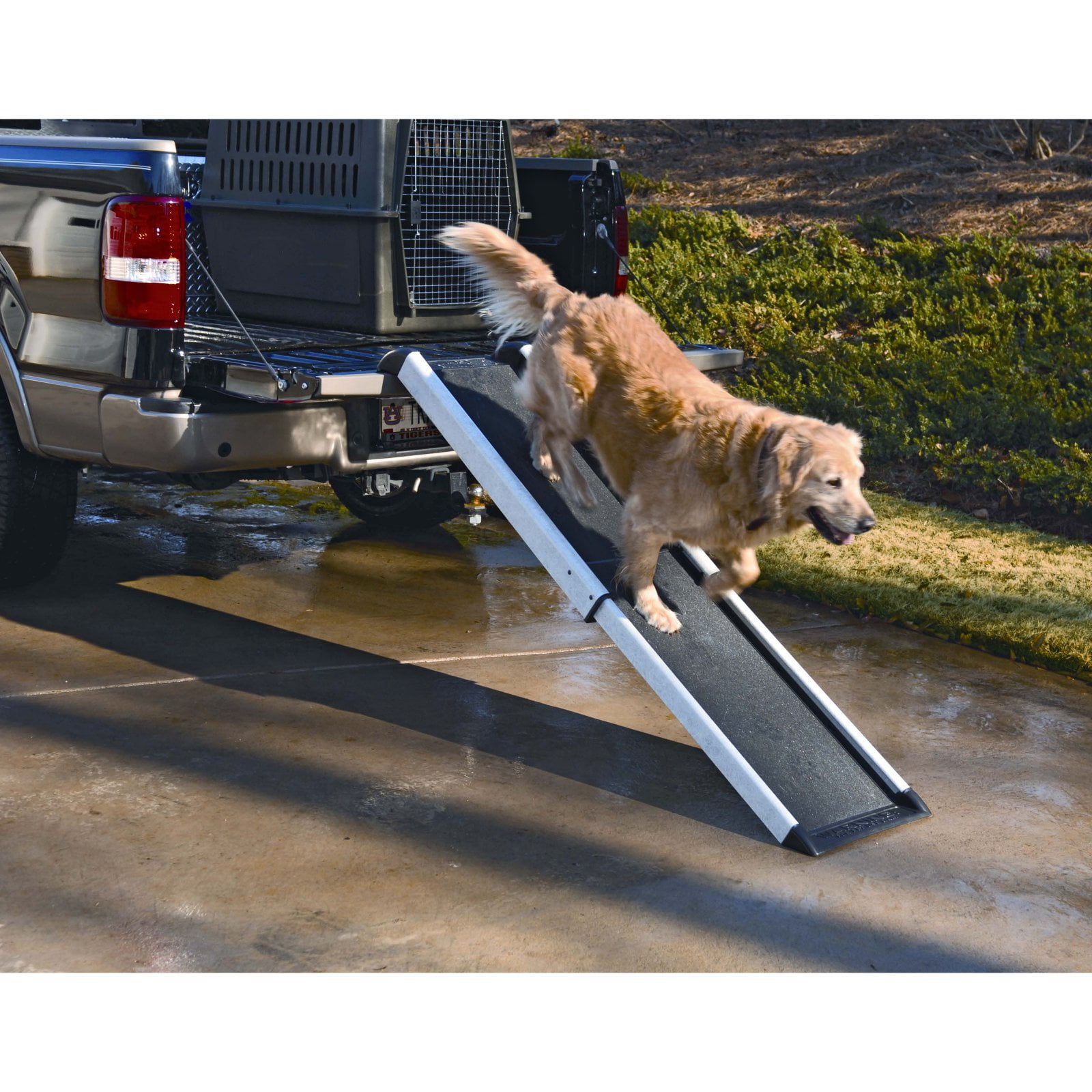 Solvit Smart Ramp for Dogs