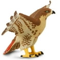 thumbnail image 4 of Safari Ltd. Red-Tailed Hawk Figurine - Realistic 5.75" Wingspan Figure - Educational Toy for Boys, Girls, & Kids Ages 3+, 4 of 6