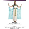 thumbnail image 2 of Studio Halloween Egyptian Queen Cleopatra Ancient Pharaoh Women's Costume X-Small 2-4, 2 of 2