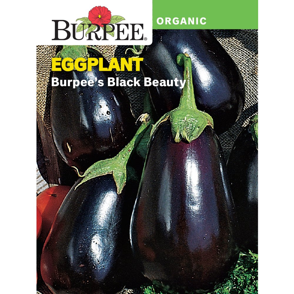 Burpee Organic Burpee's Black Beauty Eggplant Vegetable Seed, 1pack